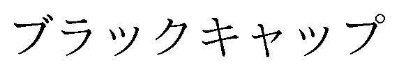 ブラックキャップ 商願2024-091169の商標見本