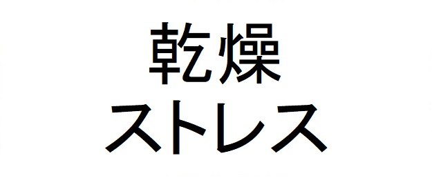 乾燥 ストレス 商願2024-091409の商標見本