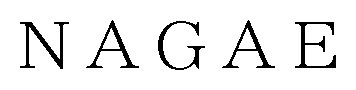 NAGAE 商願2024-094317の商標見本