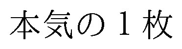本気の1枚 商願2024-094559の商標見本