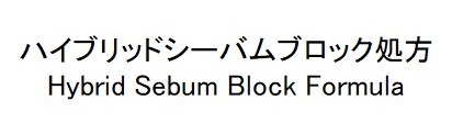 ハイブリッドシーバムブロック処方 Hybrid Sebum Block Formula 商願2024-095005の商標見本
