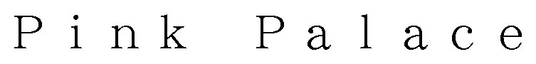 Pink Palace 商願2024-097172の商標見本