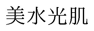 美水光肌 商願2024-098747の商標見本