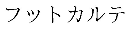 フットカルテ 商願2024-100776の商標見本