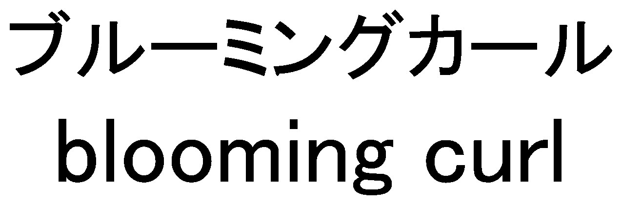 ブルーミングカール blooming curl 商願2024-101558の商標見本