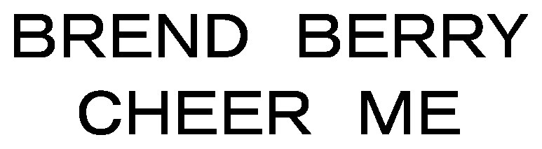 BREND BERRY CHEER ME 商願2024-102294の商標見本