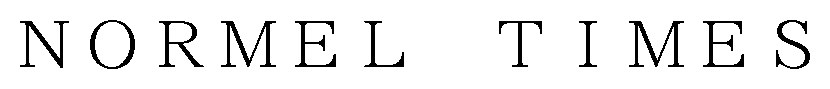 NORMEL TIMES 商願2024-104811の商標見本