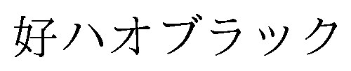 好ハオブラック 商願2024-104947の商標見本