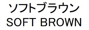 ソフトブラウン SOFT BROWN 商願2024-105613の商標見本