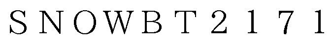 SNOWBT21 商願2024-105692の商標見本