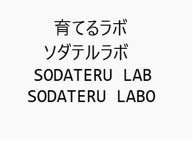育てるラボ ソダテルラボ SODATERU LAB SODATERU LABO 商願2024-105880の商標見本