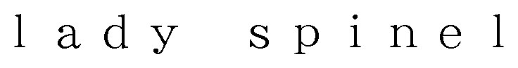 lady spinel 商願2024-105983の商標見本