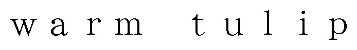 warm tulip 商願2024-106257の商標見本