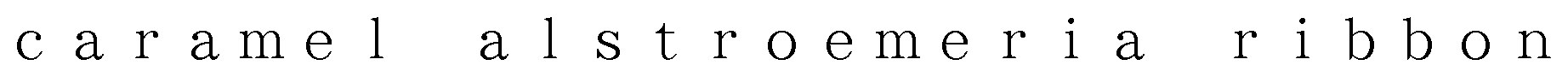 1stroemer -1aribbon carame1 a 商願2024-106260の商標見本