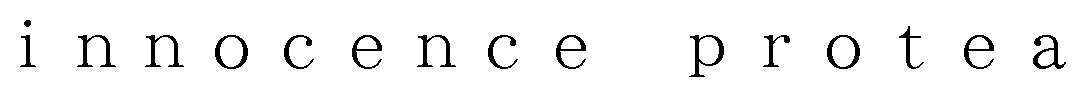 innocence protea 商願2024-106267の商標見本