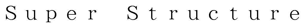 Super Structure 商願2024-108881の商標見本