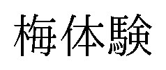 梅体験 商願2024-109156の商標見本