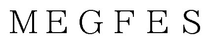 MEGFES 商願2024-110290の商標見本