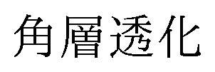 角層透化 商願2024-113203の商標見本