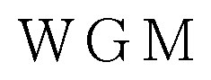 WGM 商願2024-113623の商標見本