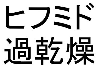 ヒフミド 過乾燥 商願2024-113825の商標見本