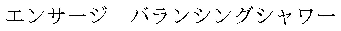 エンサージ バランシングシャワー 商願2024-114227の商標見本