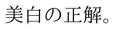 美白の正解 商願2024-114311の商標見本