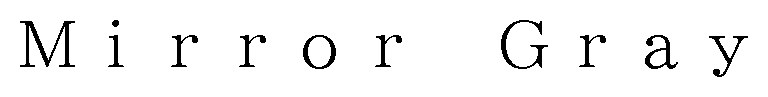 Mirror Gray 商願2024-115759の商標見本