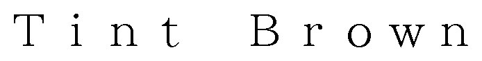 Tint Brown 商願2024-115760の商標見本