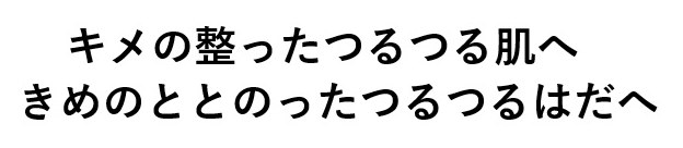 キメの整ったつるつる肌へ きめのととのったつるつるはだへ 商願2024-116188の商標見本
