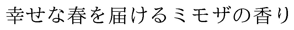 幸せな春を届けるミモザの香り 商願2024-117123の商標見本