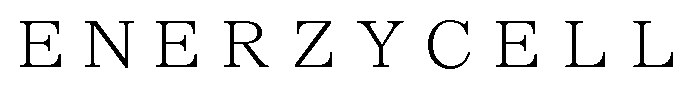 ENERZYCELL 商願2024-118282の商標見本