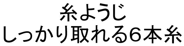 糸ようじ しっかり取れる6本糸 商願2024-118885の商標見本