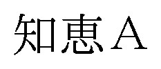 知恵A 商願2024-119294の商標見本