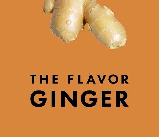 THE FLAVOR GINGER 商願2024-120111の商標見本