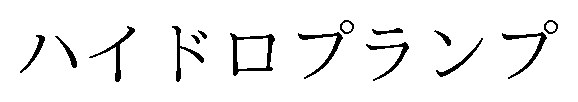 ハイドロプランプ 商願2024-120657の商標見本