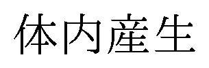 体内産生 商願2024-123208の商標見本