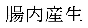 腸内産生 商願2024-123209の商標見本
