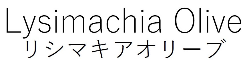 _ysimachia Olive リシマキアオリーブ 商願2024-126064の商標見本