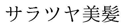 サラツヤ美髪 商願2024-130871の商標見本