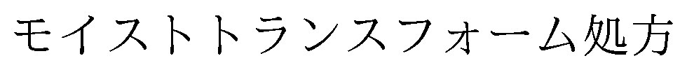 モイストトランスフォーム処方 商願2024-130876の商標見本