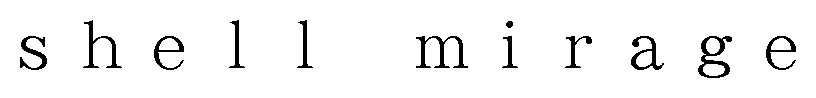 e shell mirag 商願2024-131061の商標見本