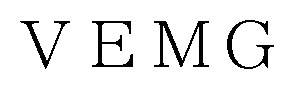 VEMG 商願2024-131311の商標見本