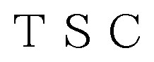TSC 商願2024-133146の商標見本