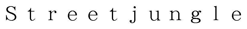 Streetjungle 商願2024-133149の商標見本