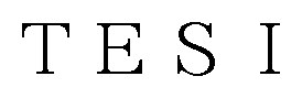 TESI 商願2024-133935の商標見本