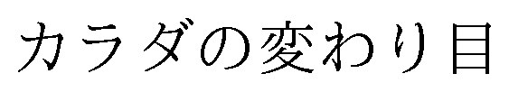 カラダの変わり目 商願2024-134916の商標見本