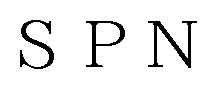 SPN 商願2024-135010の商標見本
