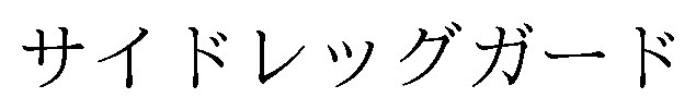 サイドレッグガード 商願2024-135287の商標見本