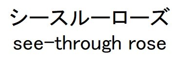 シースルーローズ see-through rose 商願2024-135300の商標見本